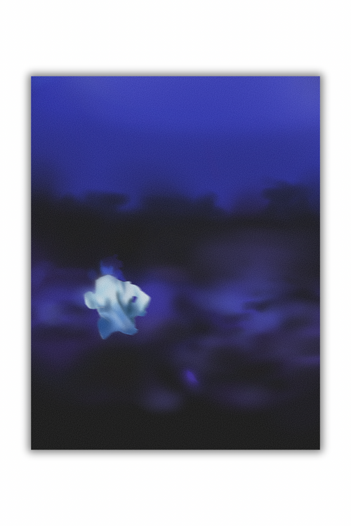 Album cover Sticker Pack
